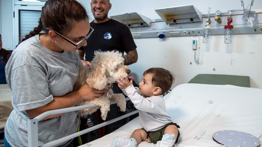 Zafira y Cala, las perras que acompañarán a los chicos internados en el Hospital Vilela