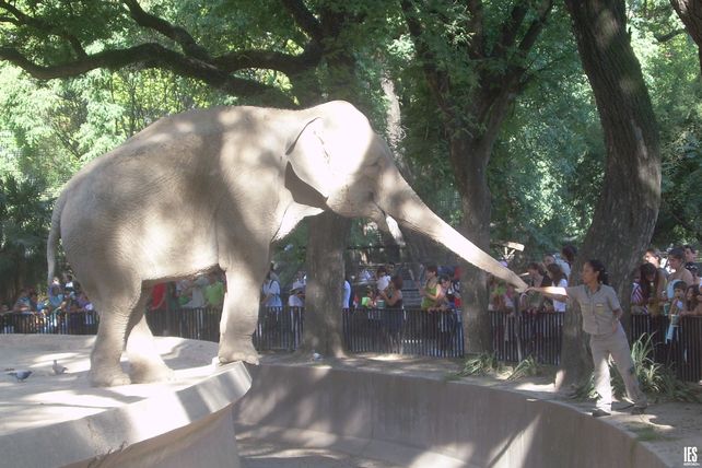 zoológico