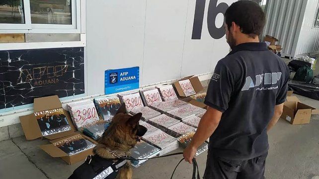 AFIP Aduana incautó 500 vinilos de Vilma Palma e Vampiros que intentaban entrar al país como equipaje personal. En redes sociales hubo chanzas sobre el hecho