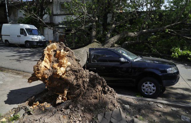 Las últimas tormentas dispararon las consultas sobre seguros de viviendas