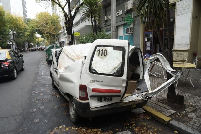 Cayó un árbol sobre un utilitario en marcha y hubo que rescatar a los ocupantes del vehículo