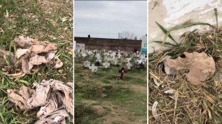 Mortajas, huesos y tumbas abiertas, el paisaje del cementerio municipal.&nbsp;