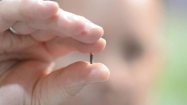 La empresa que le implanta chips a sus empleados