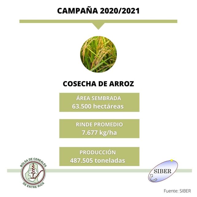 Arroz: Entre Ríos registró récord de rindes y la producción aumentó un 23%