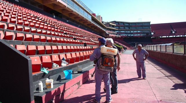 Serpentielo se refirió a los posibles casos de dengue