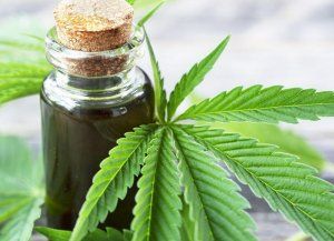 El gobierno anunció que dará de baja 300 mil permisos del Reprocann