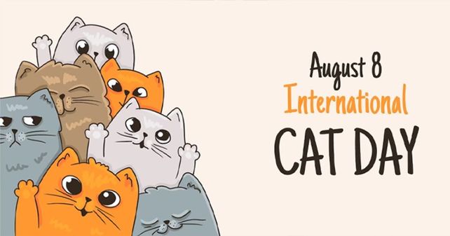 Por qué se celebra cada 8 de agosto el día internacional del gato