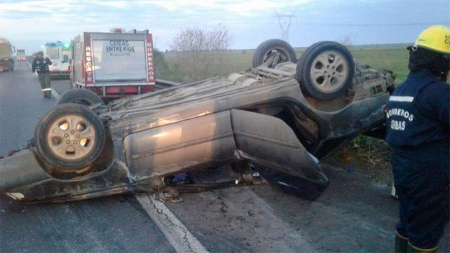 Chocaron un ternero muerto en plena ruta 14