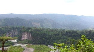 Se acelera el proceso de deforestaci&oacute;n en el Amazonia