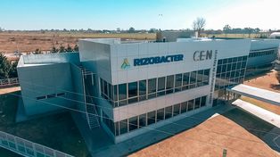 La calificadora FIX volvió a bajar la nota a la deuda de Rizobacter.