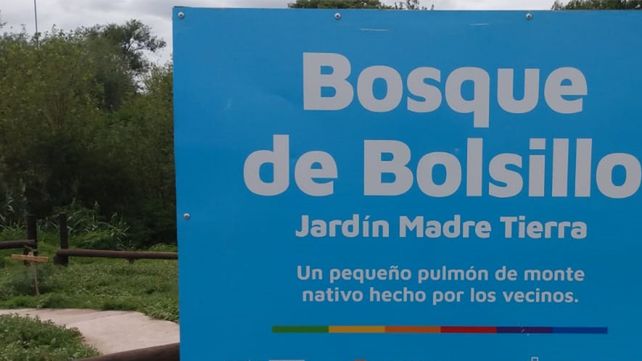 Un bosque de bolsillo en Córdoba capital.&nbsp;