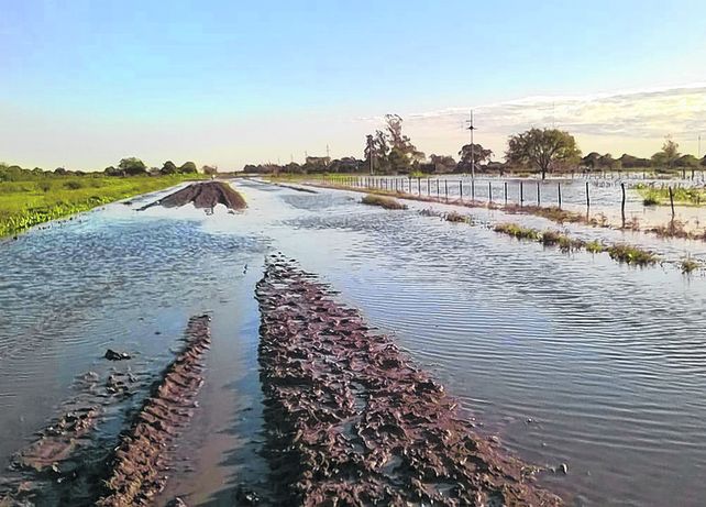 los desafíos. El problema de nuestro suelo es que no está en condiciones de infiltrar toda el agua que llueve.