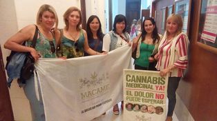 Rechazan la cautelar a madres que cultivan marihuana con fines medicinales