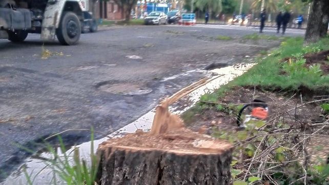 Bulevar Racedo de Paraná: este lunes habilitan obra