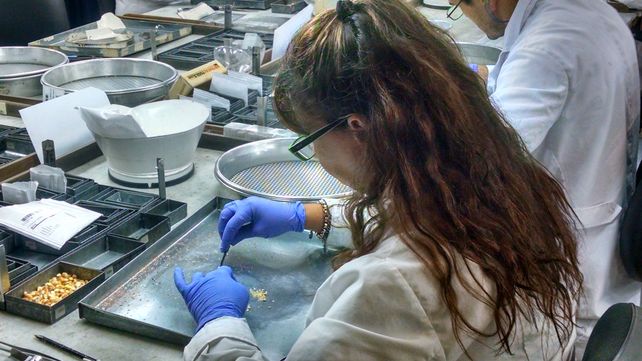 La competitividad del sector es un problema viejo