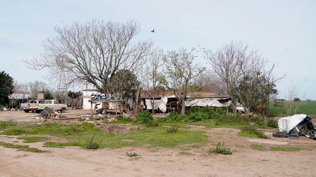 La granja de gallinas ponedoras que cinco ladrones armados hasta los dientes fueron a robar el miércoles por la tarde.