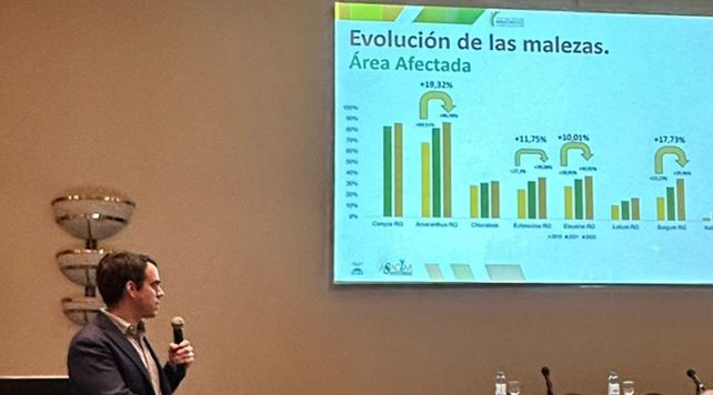 Herbicida selectivo para el control de malezas en maíz