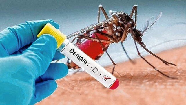 El dengue está complicando la salud en la Argentina