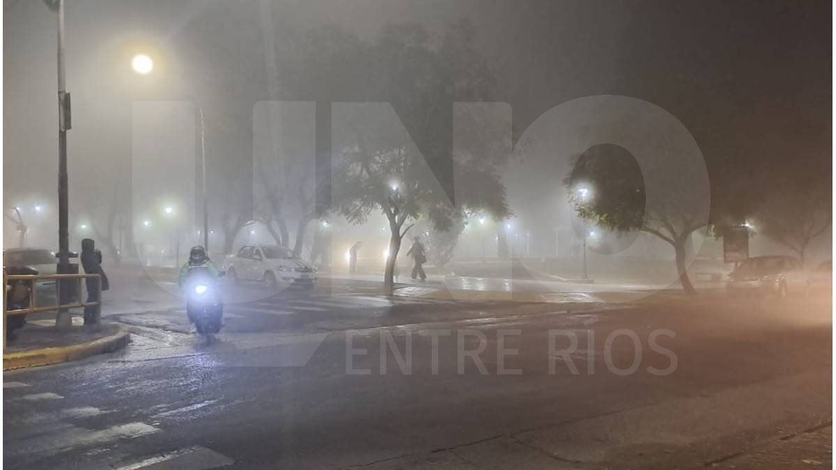 Entre Ríos: el SMN renovó el alerta violeta por bancos de niebla y neblinas