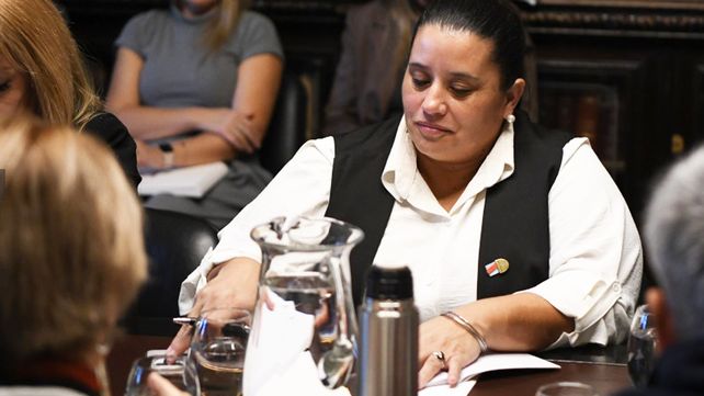 El proyecto que reforma el Consejo de la Magistratura busca agilizar los concursos para cargos en la Justicia&nbsp;