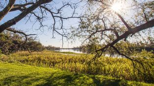 La provincia declaró a Los ceibos como reserva de uso múltiple