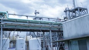 Lanormativa incluiría a las petroleras en el mercado de biocombustibles a futuro, permitiendo el desarrollo y consolidación del mercado actual antes de su implementación.
