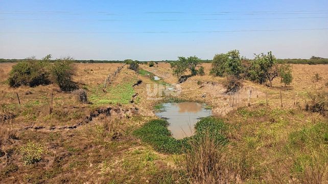 Canales ilegales en San Justo provocan una enorme sequía: El daño ecológico es grandísimo