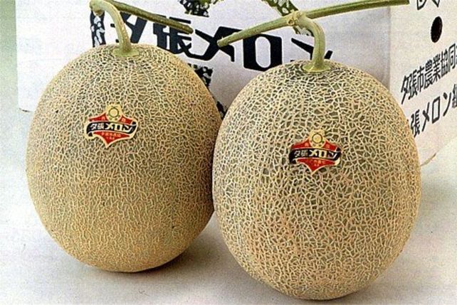 Vendieron dos melones por 13.400 dólares en una subasta en Japón