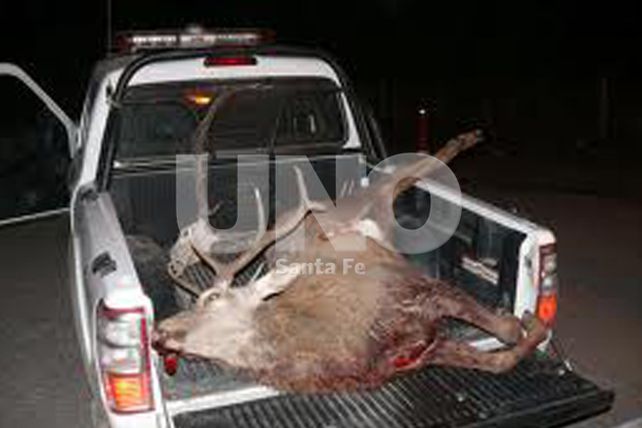 Desarmaron a depredadores de la fauna silvestre en San Javier