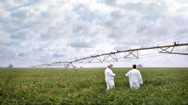 Destacan los beneficios ambientales de un bioinsumo fabricado en el país