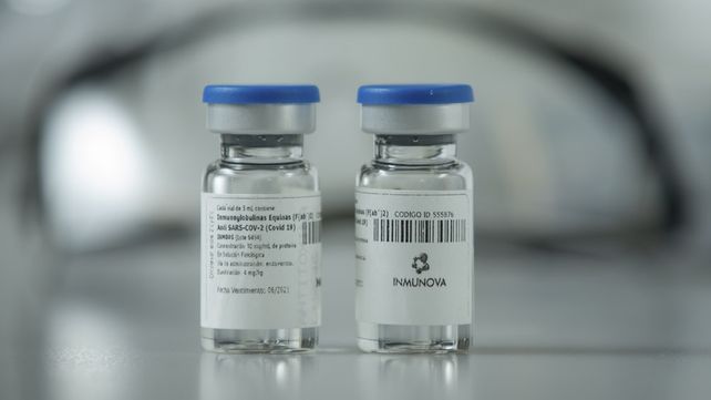 Suero equino hiperinmune: lo que hay que saber del nuevo tratamiento contra el Covid-19