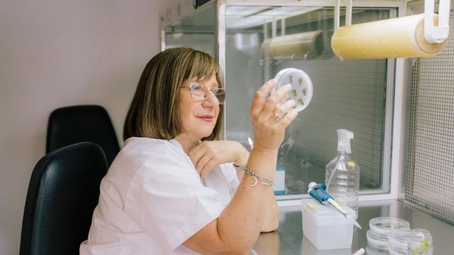 Chan es investigadora superior del Conicet