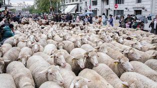 El día en imágenes alrededor del mundo