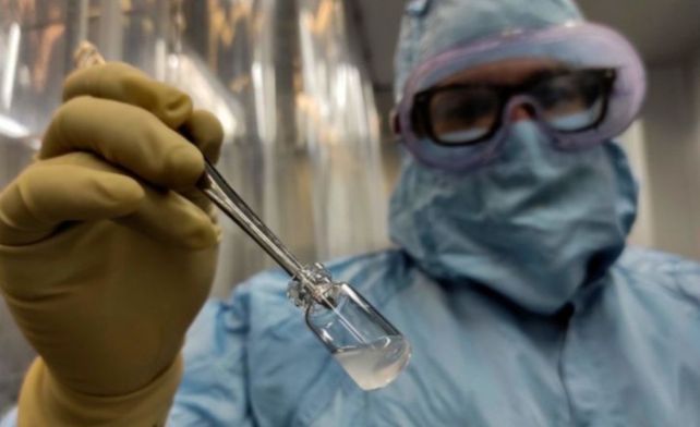 Logran generar anticuerpos de coronavirus que bloquean su ingreso a las células