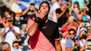 Del Potro venció a Krajinovic y se metió en los cuartos de final de Miami