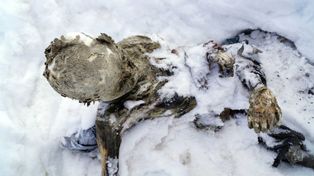 Hallaron dos cuerpos momificados en el pico más alto de México