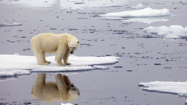 Los 38º registrados en Verkhoyansk constituyen la mayor temperatura alcanzada por encima del círculo polar ártico