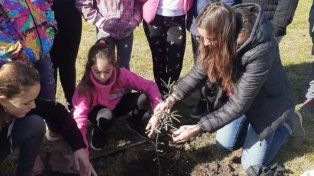 Regenerar para conservar el suelo vivo, el lema de la 32° Fiesta de la Conservación del Suelo