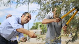 El Municipio planta unos 1.100 árboles por mes dentro del marco del plan de Forestación
