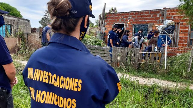 Paraná: encontraron plantas de marihuana de cuatro metros&nbsp;