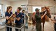 Día del Veterinario en Argentina: ¿por qué se conmemora hoy?