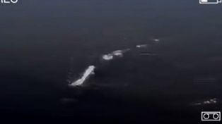 ¿Encontraron un monstruo como el del lago Ness?