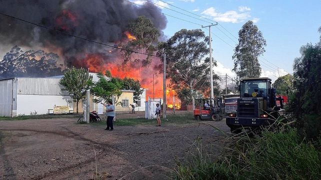 Por el incendio de un aserradero