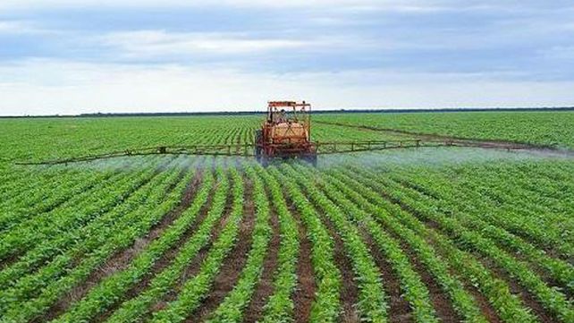 Preocupación de Federación Agraria ante posible aumento de las retenciones
