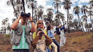 Anuncian una temporada de verano récord para el turismo nacional