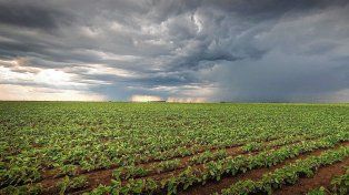 Santa Fe y zona núcleo: las lluvias pasaron de largo en enero y los rindes se resienten de cara a la cosecha gruesa