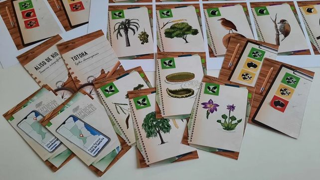 Qué es Expedición Humedales, el juego que pretende concientizar sobre las reservas naturales