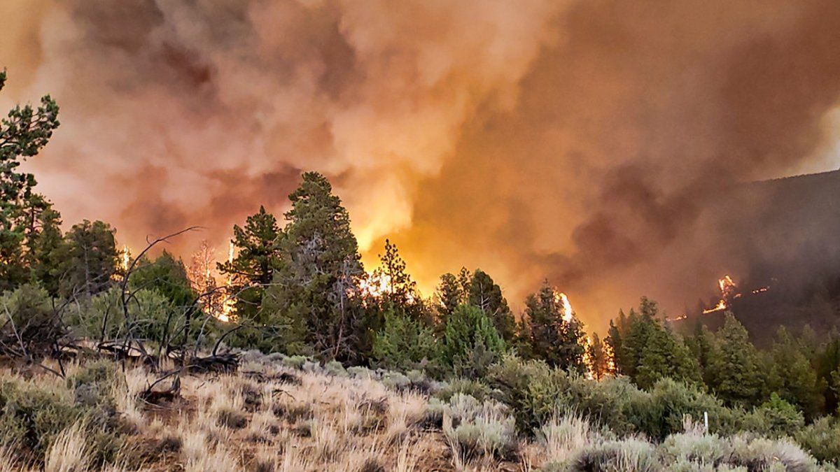 El incendio forestal más grande de Estados Unidos se expande por Oregon