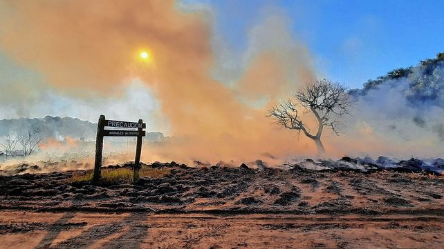 Una corresponde a la categoría Paisajes y se titula Cae la noche en El Palmar; la otra retrata a una rana punteada en la categoría Pequeños Mundos