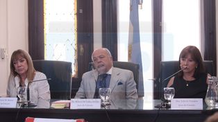 Sentencia. Esperan que se debata la penalización de los personajes no captados por el sistema penal.